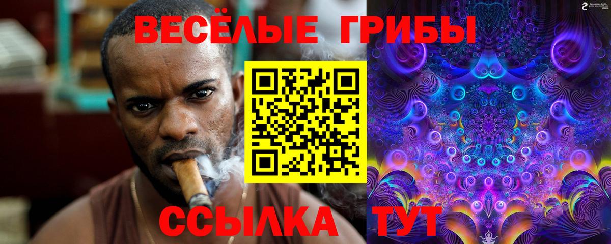 Нурлат  Псилоцибиновые грибы Psilocybine cubensis  Вход с VPN 