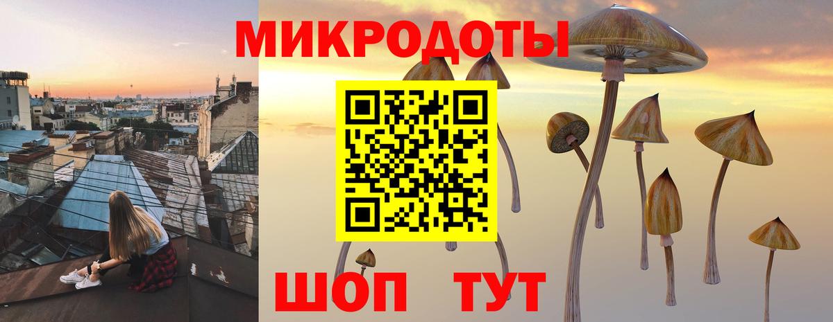 Псилоцибиновые грибы Cubensis Нурлат